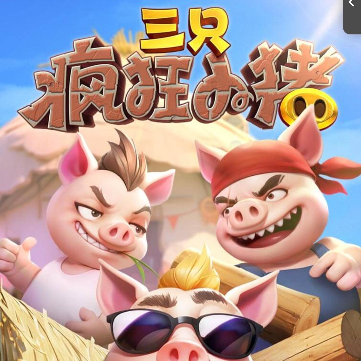 三只疯狂猪